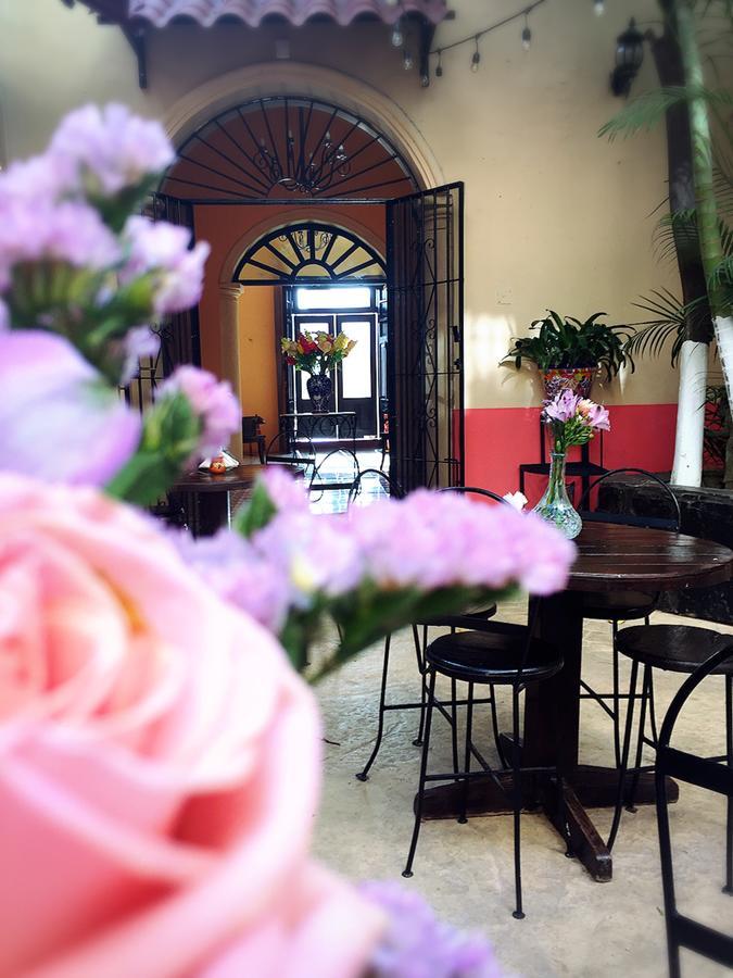 Hotel Casa Catrina&Diego Mérida Zewnętrze zdjęcie